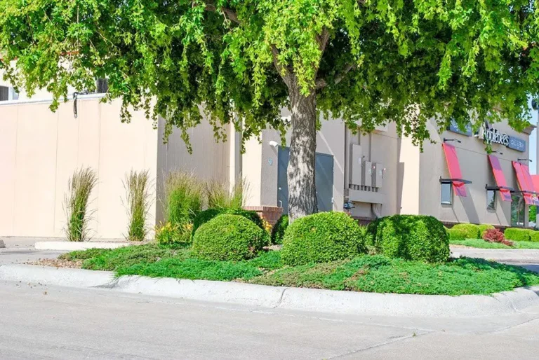 The HOA Partner: Managing Community Expectations in a High-Wind Climate